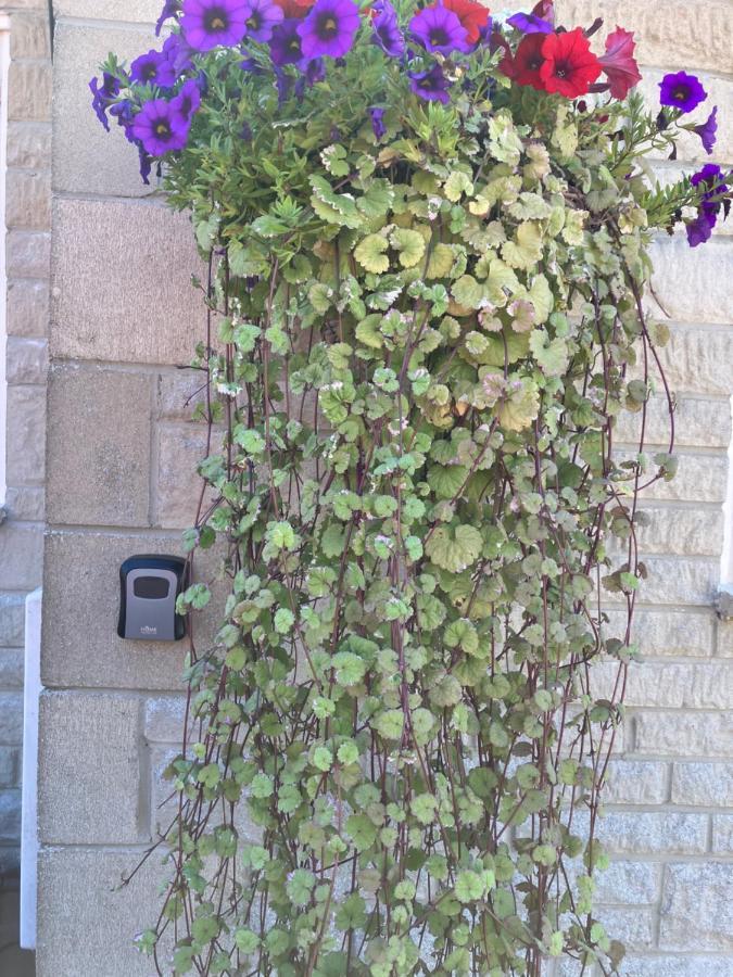 Heart Of The Village Cotswold Cottage In Crudwell. מראה חיצוני תמונה